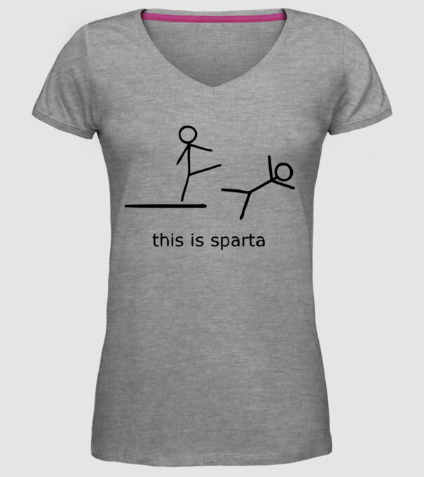 this is sparta model gri pe tricou