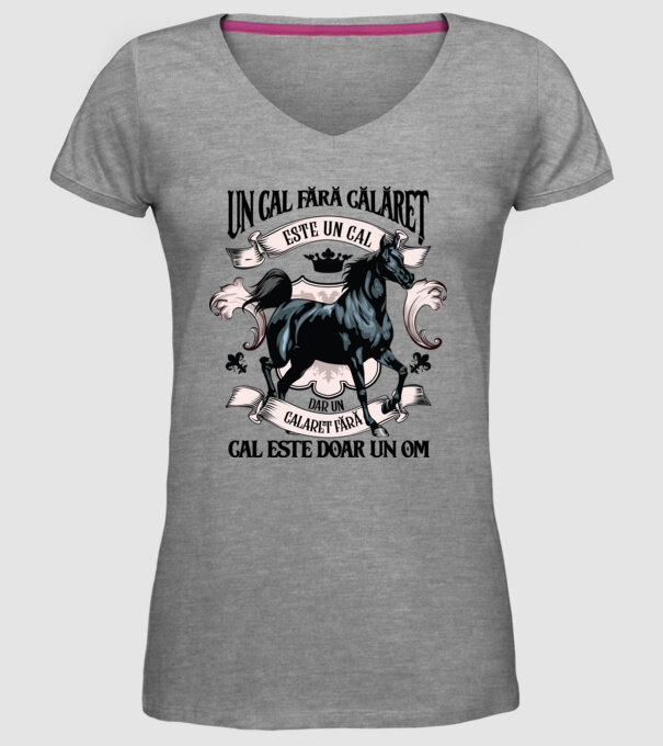 un cal fără călăreț este un cal - dar un călăreț fără cal este doar un om model gri pe tricou
