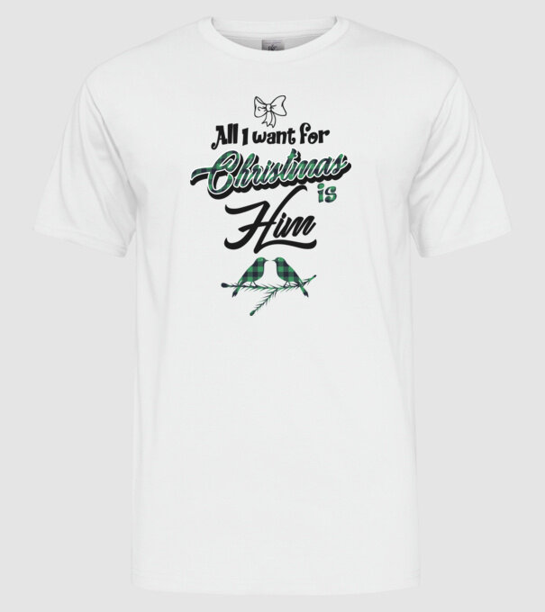 All i want for Christmas is Him model alb pe tricou