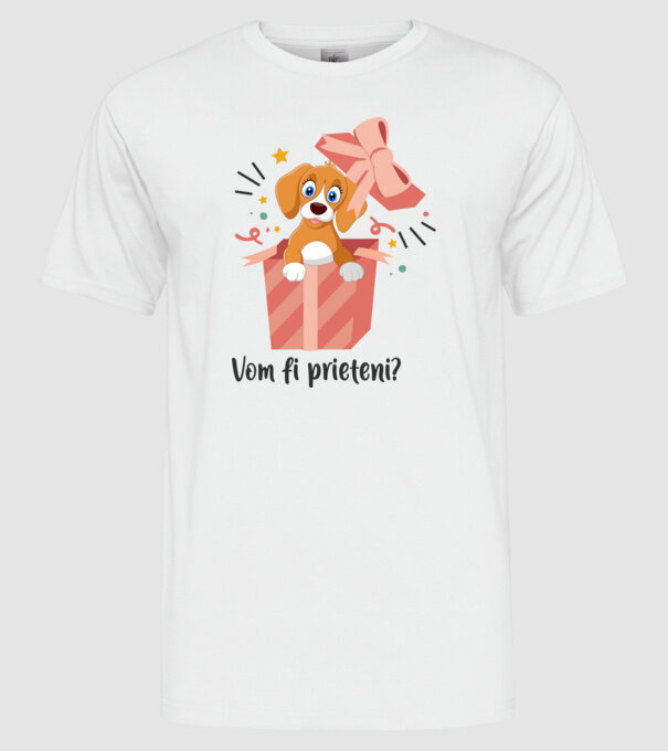 Vom fi prieteni? model alb pe tricou