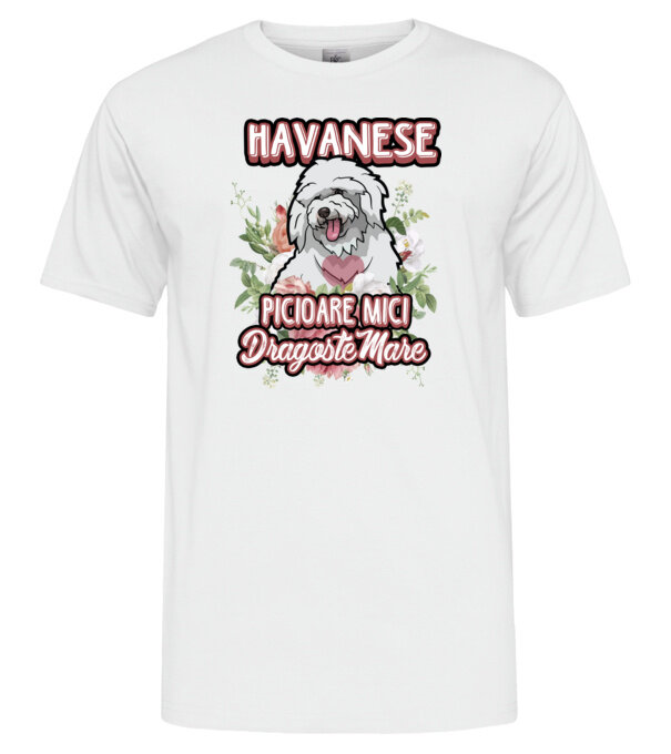  model  pe tricou
