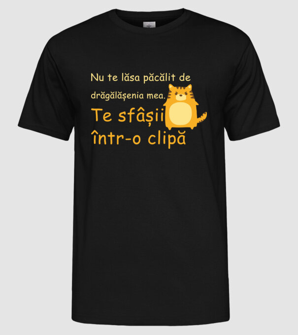nu te lăsa păcălit de drăgălășenia mea. te sfâșii într-o clipă model negru pe tricou