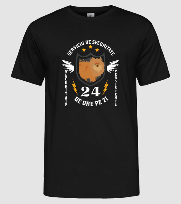 serviciu de securitate - securitate - persistență - 24 de ore pe zi model negru pe tricou