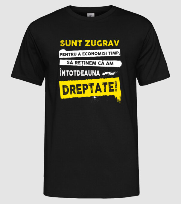 Sunt zugrav, pentru a economisi timp, să reținem că am întotdeauna dreptate! model negru pe tricou