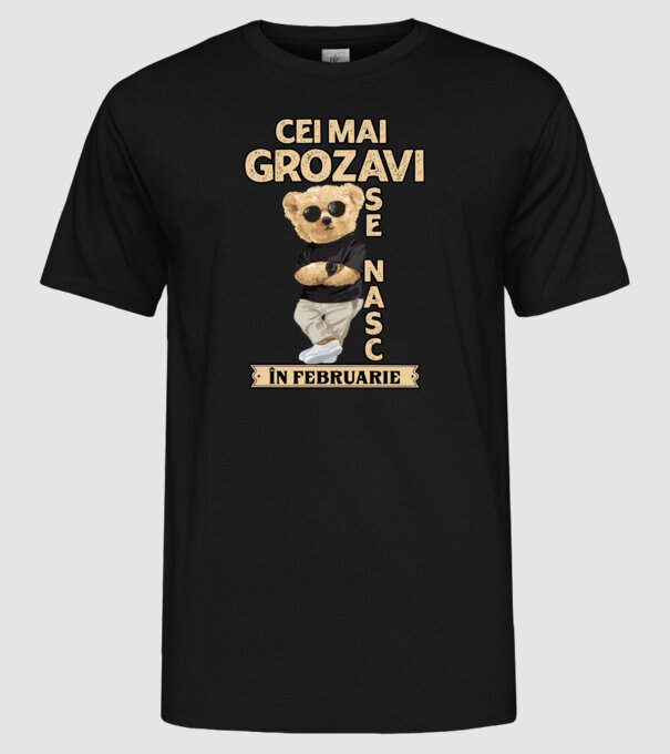 Teddy cel cool februarie model negru pe tricou