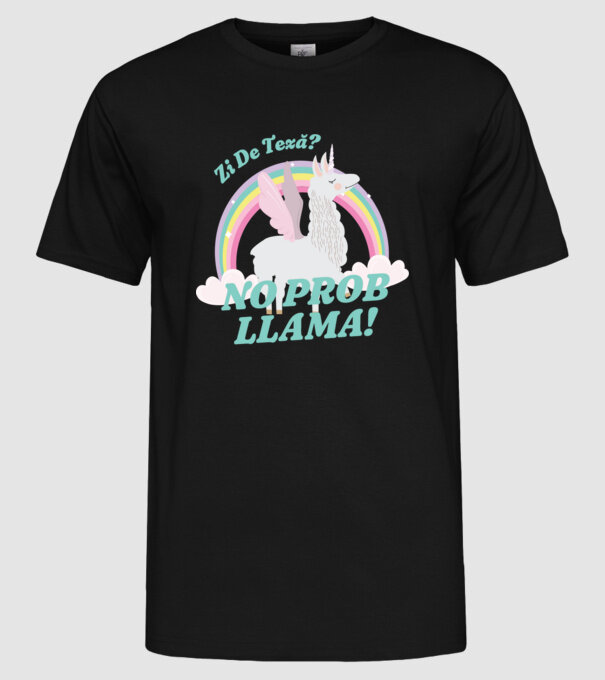 zi de teză? Mai bine mâine... model negru pe tricou