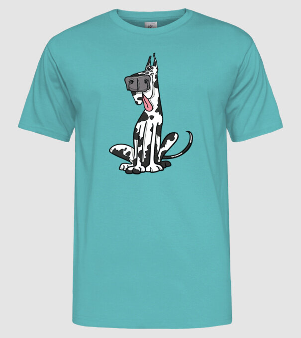  model turcoaz pe tricou