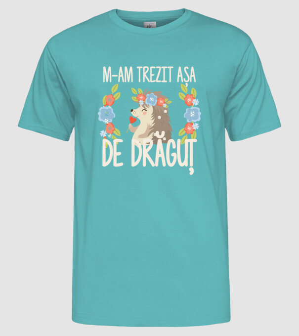 M-am trezit așa de drăguț model turcoaz pe tricou