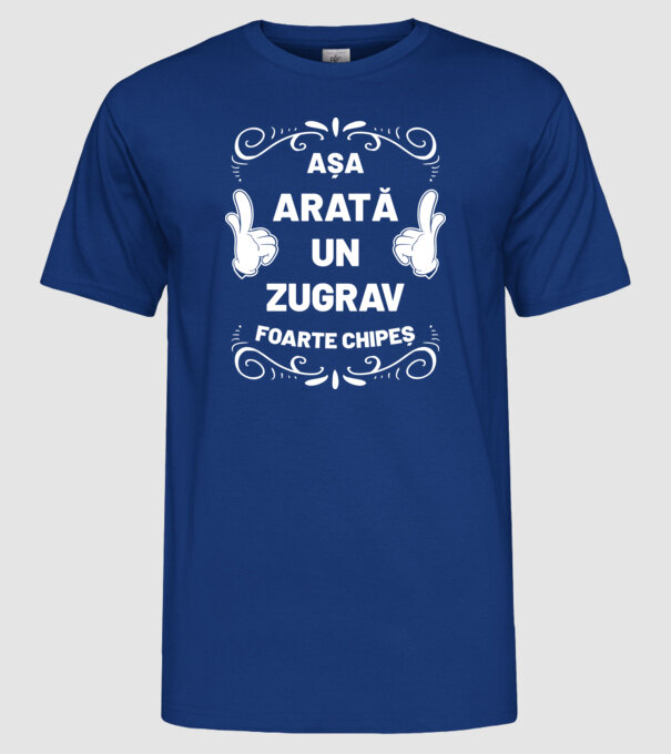 Așa arată un zugrav foarte chipeș model albastru regal pe tricou