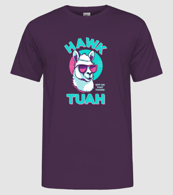 Hawk tuah llama retro sunglasses model mov pe tricou