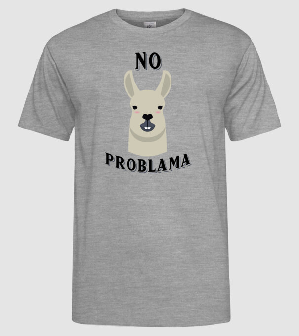 No problama model gri pe tricou