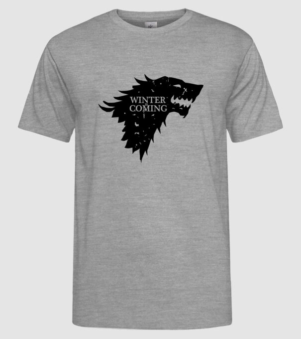 Winter is Coming model gri pe tricou