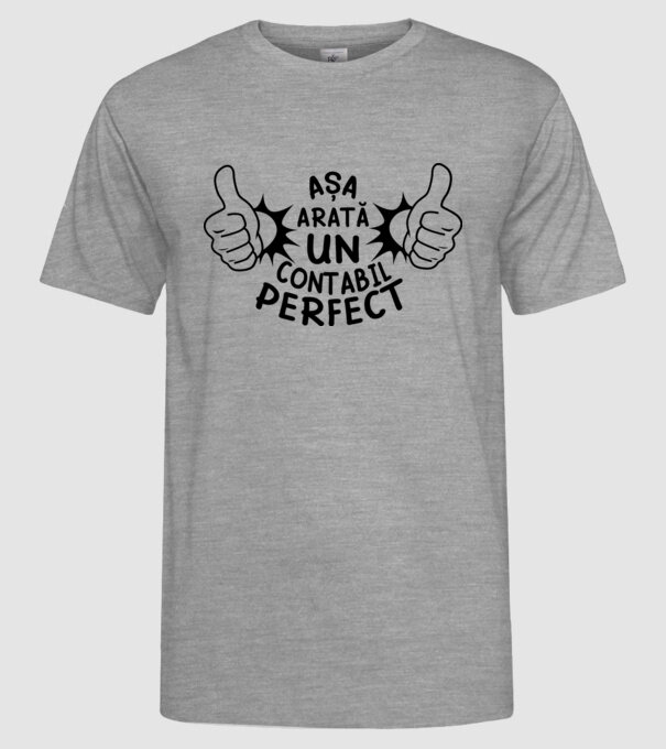 Așa arată un CONTABIL perfect model gri pe tricou