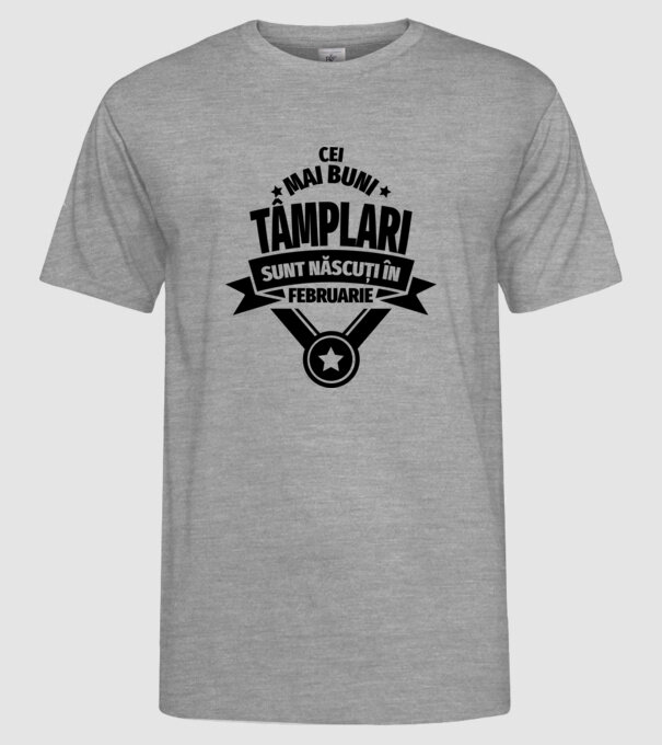 Cei mai buni tâmplari sunt născuți în Februarie model gri pe tricou
