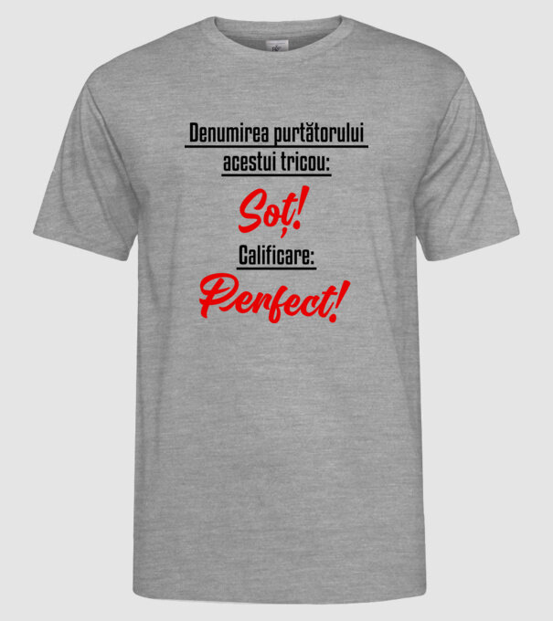 Denumirea purtătorului acestui tricou: Soț! Calificare: Perfect! model gri pe tricou