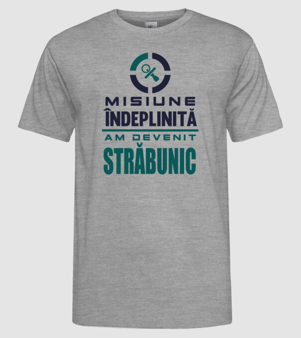 misiune îndeplinită - am devenit străbunic model gri pe tricou