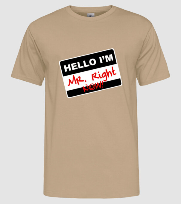 Mr Rigth Now.eps model nisipiu pe tricou