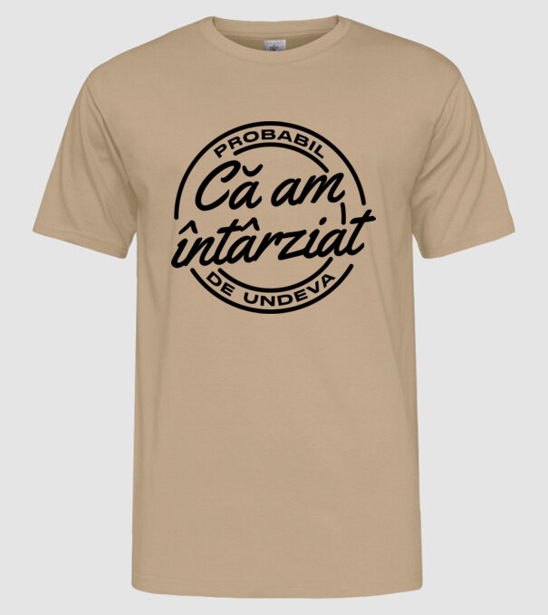 Probabil că am întârziat de undeva model nisipiu pe tricou