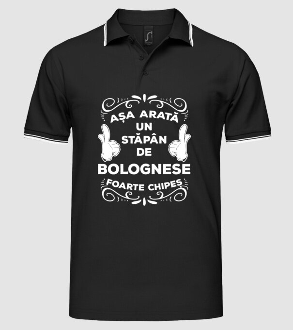 Așa arată un stăpân de Bolognese foarte chipeș model negru pe tricou