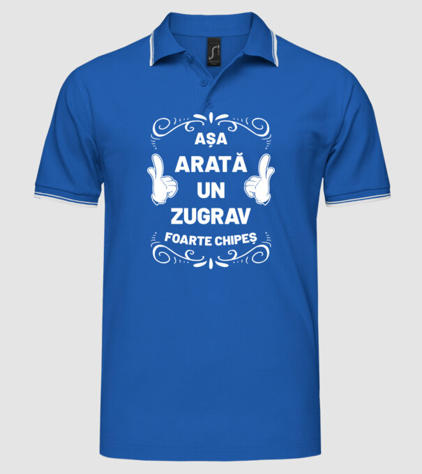 Așa arată un zugrav foarte chipeș model albastru regal pe tricou