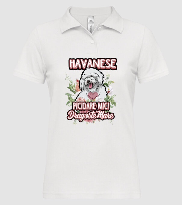 havanese : picioare mici dragoste mare model alb pe tricou