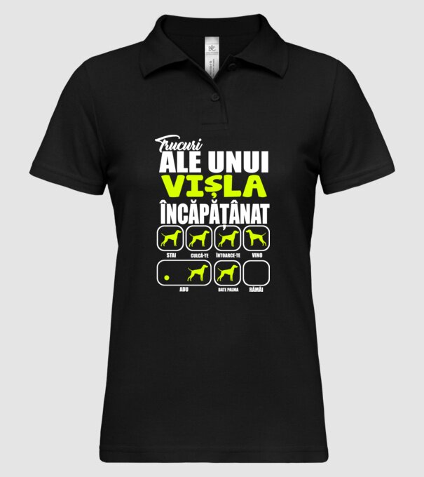 trucuri ale unui vișla încăpățânat stai, culcă-te, întoarce-te, vino, adu, bate palma, rămâi model negru pe tricou