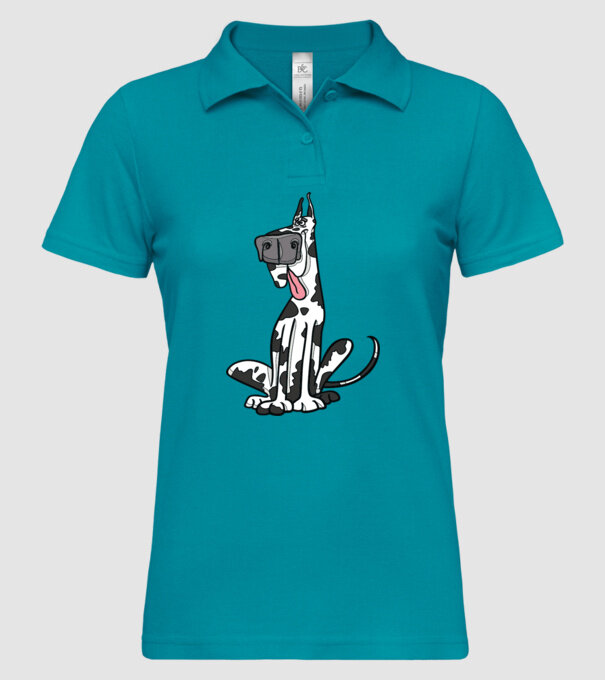 model turcoaz pe tricou