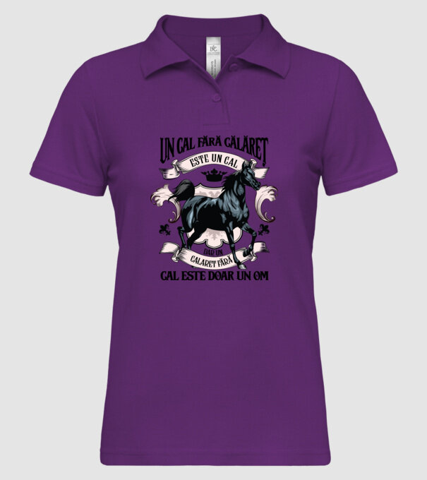 un cal fără călăreț este un cal - dar un călăreț fără cal este doar un om model mentă pe tricou