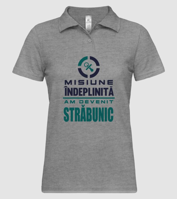 misiune îndeplinită - am devenit străbunic model gri pe tricou