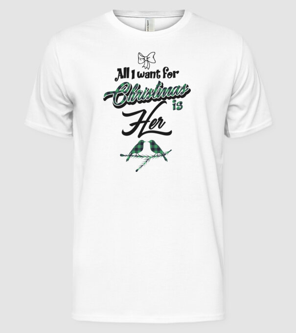 All i want for Christmas is Her model alb pe tricou