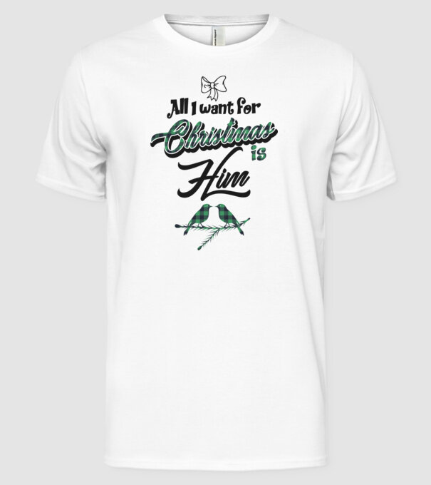All i want for Christmas is Him model alb pe tricou
