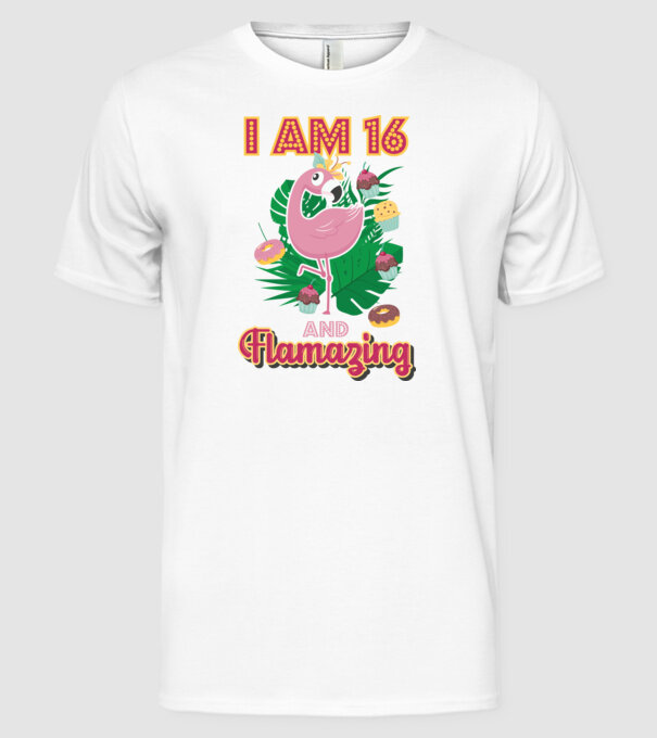 FLAMAZING Birthday 16 Years old model alb pe tricou