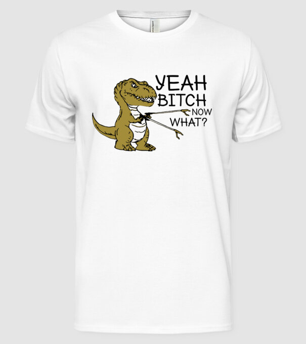 Yeah bitch now what model alb pe tricou