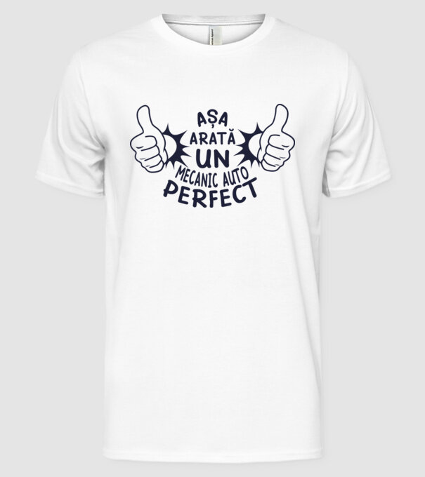 Așa arată un mecanic auto perfect model alb pe tricou