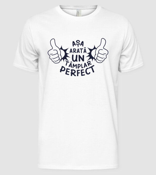 Așa arată un tâmplar perfect model alb pe tricou