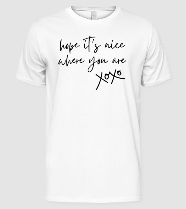 Taylor Swift hope its nice where you are model alb pe tricou