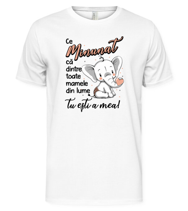  model  pe tricou