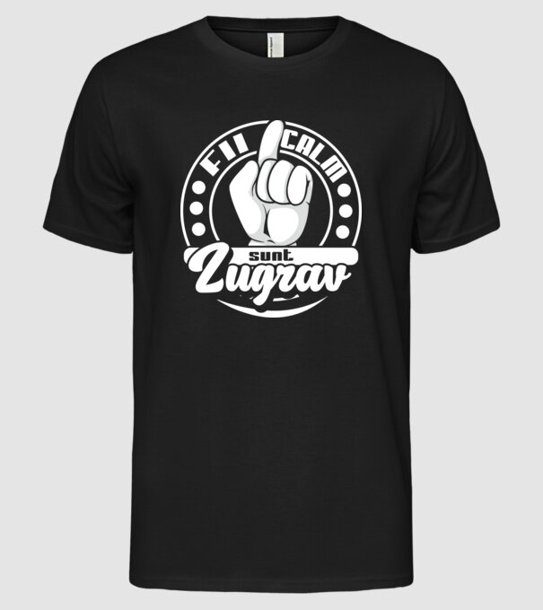 Fii calm... sunt zugrav model negru pe tricou