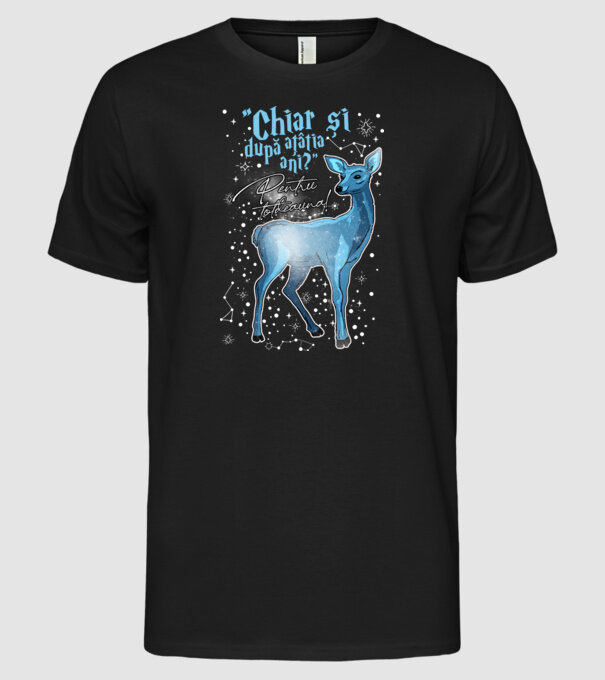 Harry Potter Valentine model negru pe tricou