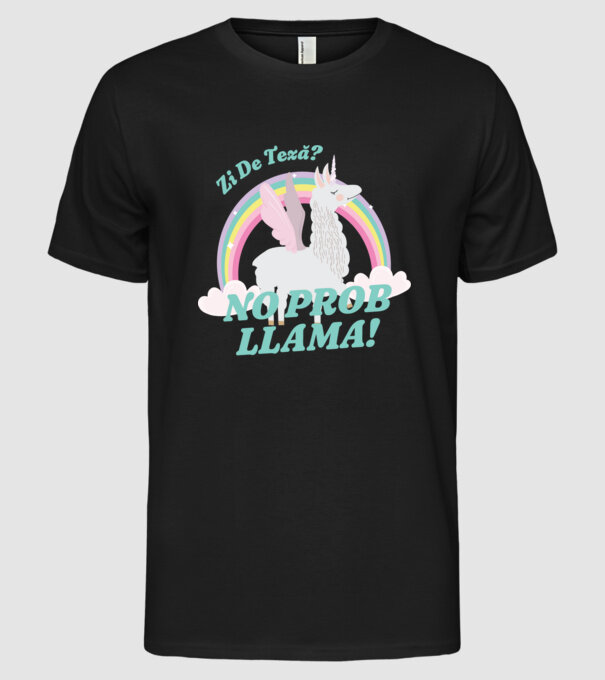 zi de teză? Mai bine mâine... model negru pe tricou