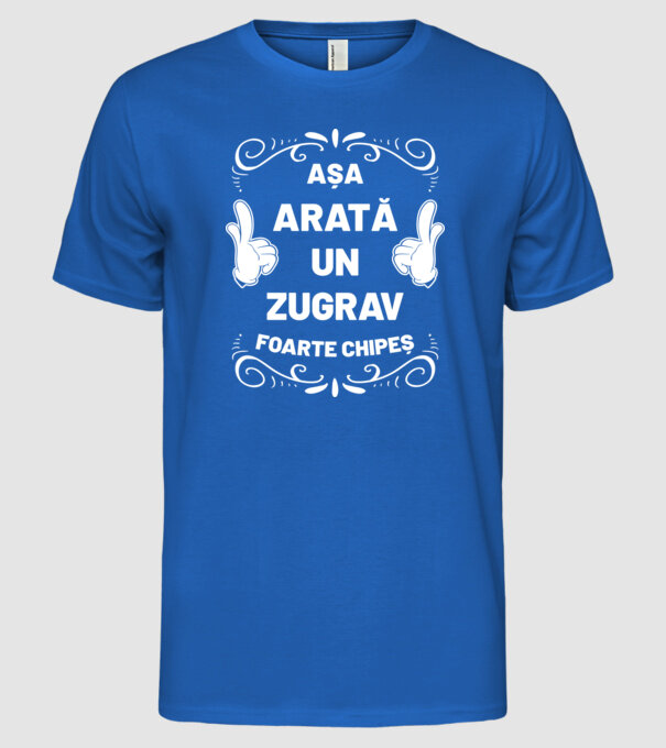 Așa arată un zugrav foarte chipeș model albastru regal pe tricou