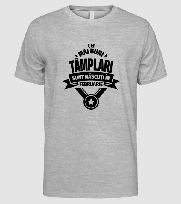 Cei mai buni tâmplari sunt născuți în Februarie model gri pe tricou