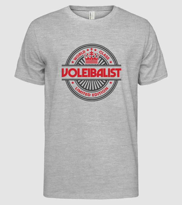 voleibalist model gri pe tricou