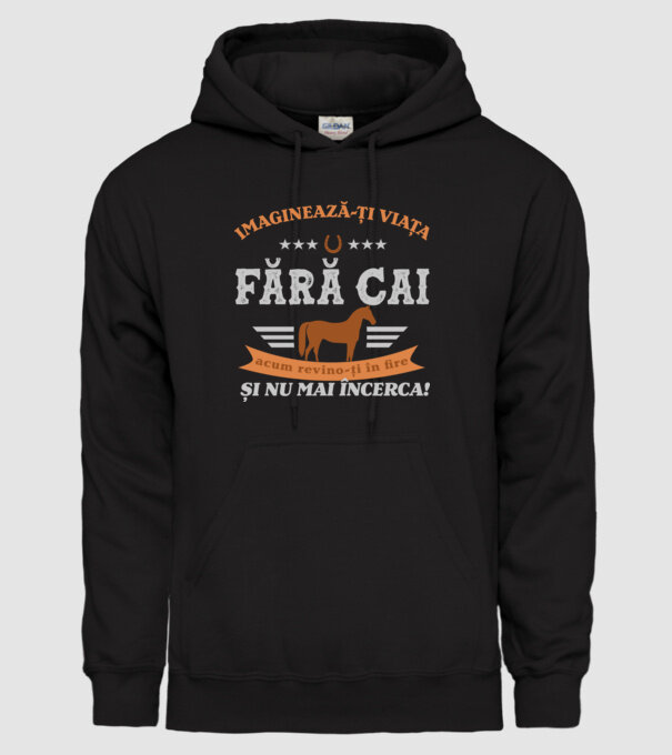 Imaginează-ți viața fără cai, acum revino-ți în fire și nu mai încerca! model negru pe tricou