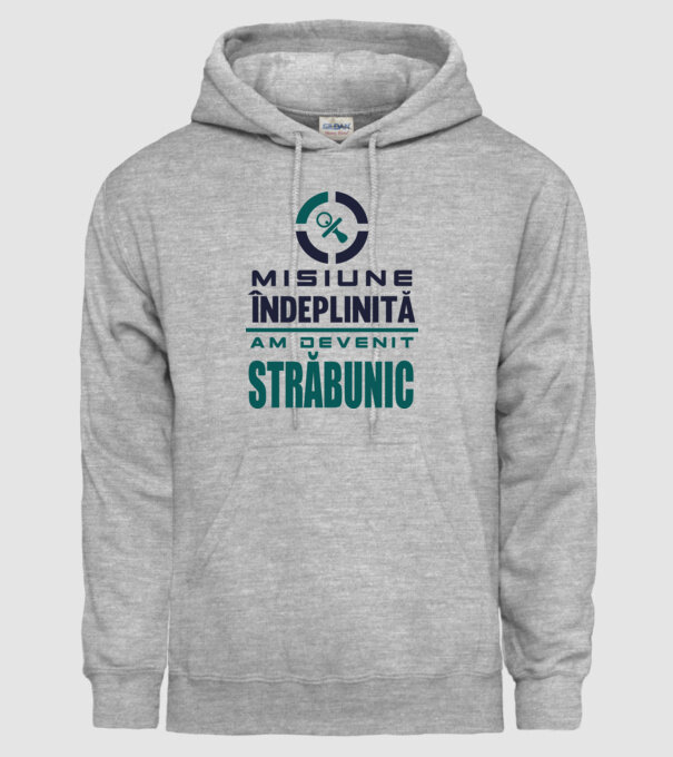 misiune îndeplinită - am devenit străbunic model gri pe tricou