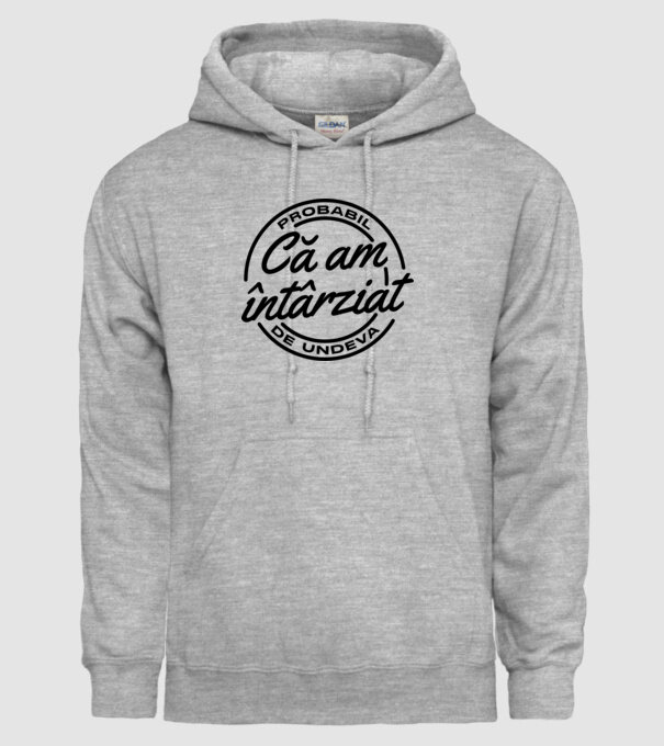Probabil că am întârziat de undeva model gri pe tricou