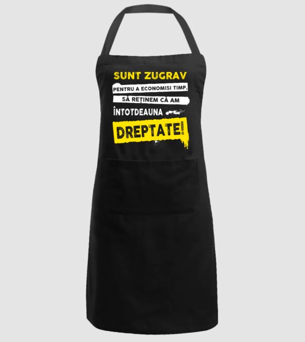 Sunt zugrav, pentru a economisi timp, să reținem că am întotdeauna dreptate! model negru pe tricou