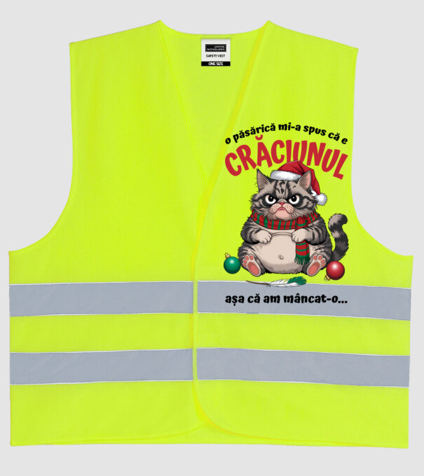 Am mâncat pasărea Crăciun pisică Alb model galben neon pe tricou