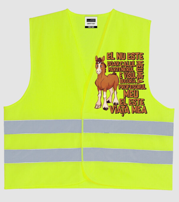 El nu este doar calul meu, e visul meu, partenerul meu, bucuria mea, profesorul meu, el este viața mea model galben neon pe tricou