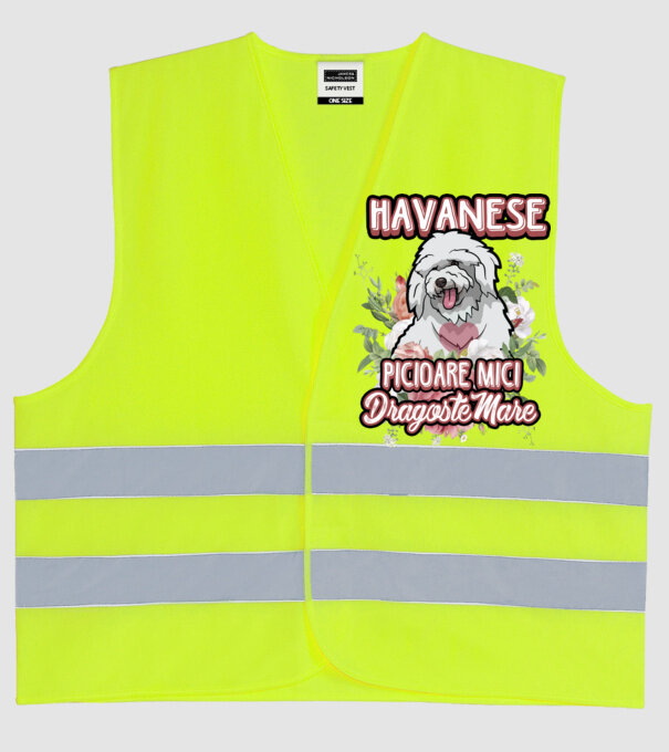 havanese : picioare mici dragoste mare model galben neon pe tricou